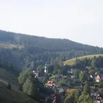 Charmantes Dachgeschoss-refugium, Harz, Cleaning Included *