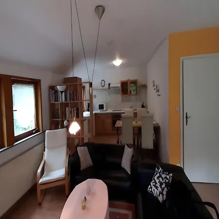 Charmantes Dachgeschoss-refugium, Harz, Cleaning Included Apartment