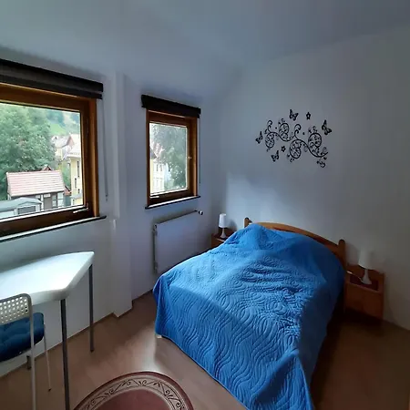 Charmantes Dachgeschoss-refugium, Harz, Cleaning Included Apartmán