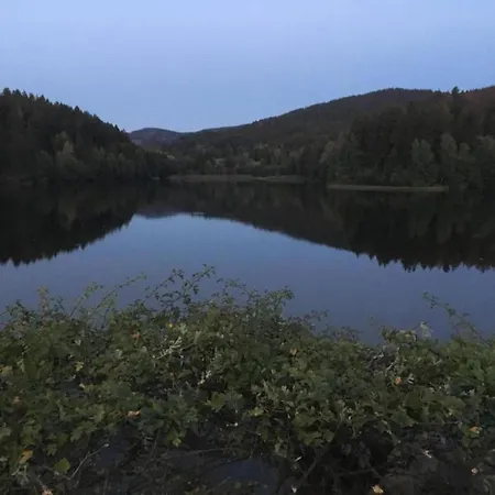 公寓 Charmantes Dachgeschoss-refugium, Harz, Cleaning Included 维尔德曼