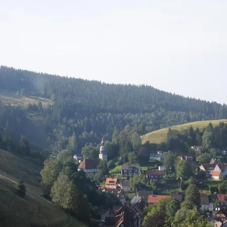 Charmantes Dachgeschoss-refugium, Harz, Cleaning Included *
