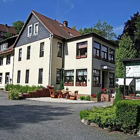 Charmantes Dachgeschoss-refugium, Harz, Cleaning Included Appartement Wildemann