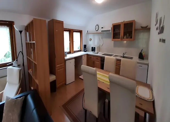 公寓 Charmantes Dachgeschoss-refugium, Harz, Cleaning Included 维尔德曼